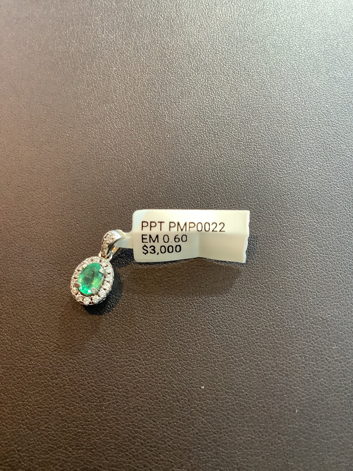 PPT PMP0022
